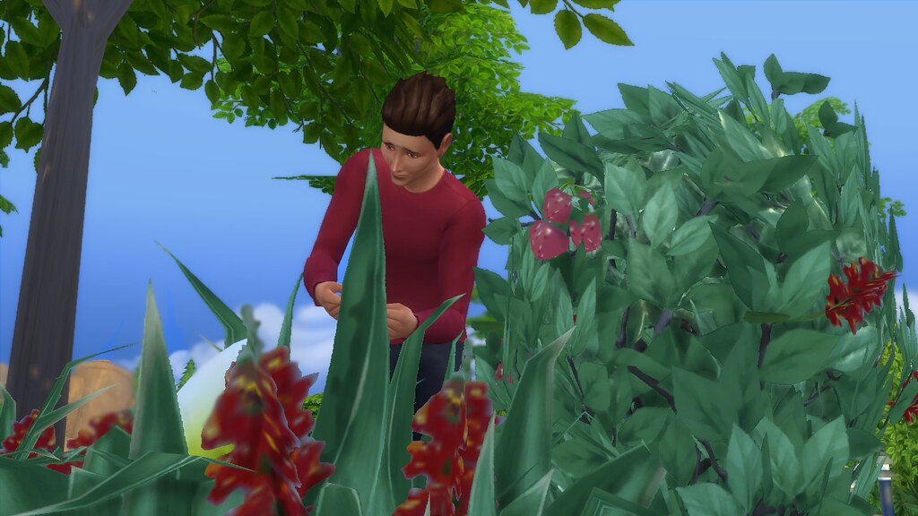 the sims 4 giardinaggio